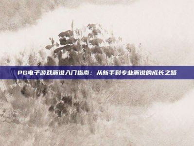 PG电子游戏解说入门指南：从新手到专业解说的成长之路