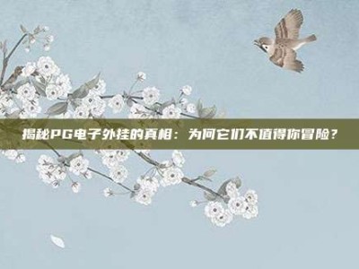 揭秘PG电子外挂的真相：为何它们不值得你冒险？