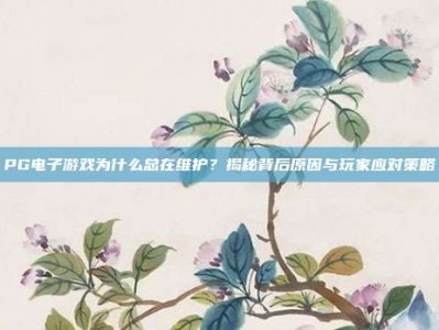 PG电子游戏为什么总在维护？揭秘背后原因与玩家应对策略