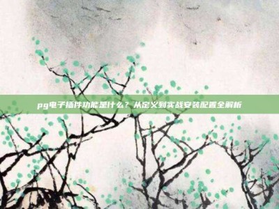 pg电子插件功能是什么？从定义到实战安装配置全解析
