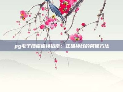 pg电子插座连接指南：正确接线的简便方法