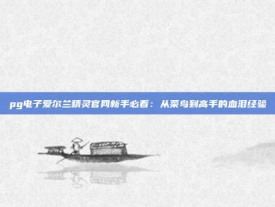 pg电子爱尔兰精灵官网新手必看：从菜鸟到高手的血泪经验