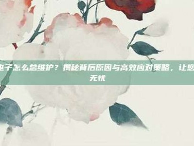 PG电子怎么总维护？揭秘背后原因与高效应对策略，让您游戏无忧