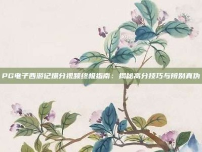 PG电子西游记爆分视频终极指南：揭秘高分技巧与辨别真伪