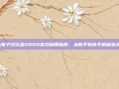 pg电子试玩金2000高效利用指南：从新手到高手的秘密武器