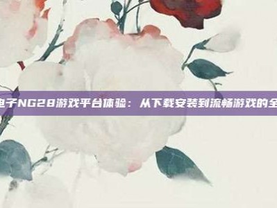 PG电子NG28游戏平台体验：从下载安装到流畅游戏的全攻略