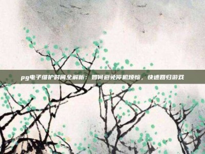 pg电子维护时间全解析：如何避免停机烦恼，快速回归游戏