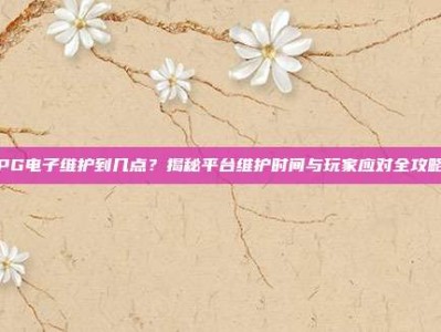 PG电子维护到几点？揭秘平台维护时间与玩家应对全攻略