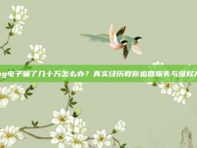 被pg电子骗了几十万怎么办？真实经历教你追回损失与维权方法