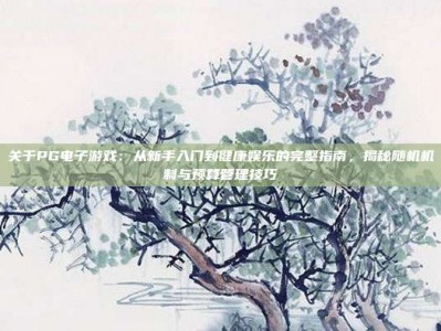 关于PG电子游戏：从新手入门到健康娱乐的完整指南，揭秘随机机制与预算管理技巧