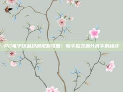 PG电子摸金校尉视频攻略：新手秒变爆分高手的秘诀