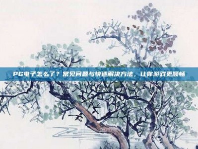 PG电子怎么了？常见问题与快速解决方法，让你游戏更顺畅