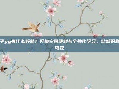 电子pg有什么好处？打破空间限制与个性化学习，让知识触手可及