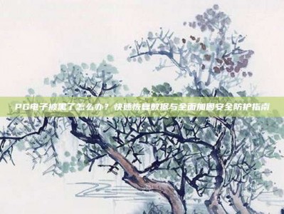 PG电子被黑了怎么办？快速恢复数据与全面加固安全防护指南