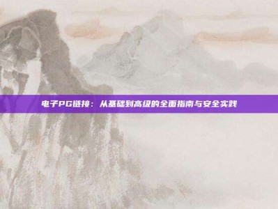 电子PG链接：从基础到高级的全面指南与安全实践