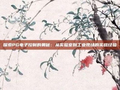探索PG电子控制的奥秘：从实验室到工业现场的实战经验
