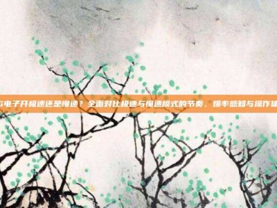 PG电子开极速还是慢速？全面对比极速与慢速模式的节奏、爆率感知与操作体验