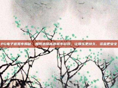 PG电子返奖率揭秘：如何选择高返奖率游戏，让娱乐更持久、资金更安全
