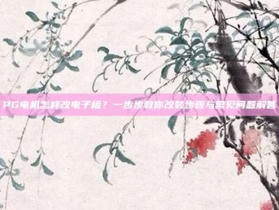 PG电机怎样改电子板？一步步教你改装步骤与常见问题解答