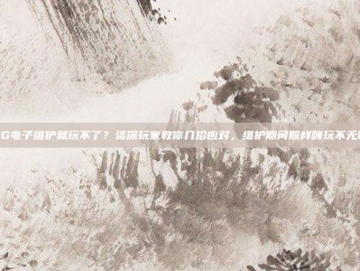 PG电子维护就玩不了？资深玩家教你几招应对，维护期间照样嗨玩不无聊