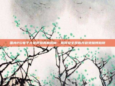 国内PG电子大奖视频真相揭秘：如何安全观看并避免赌博陷阱