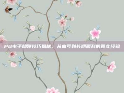 PG电子稳赚技巧揭秘：从血亏到长期盈利的真实经验