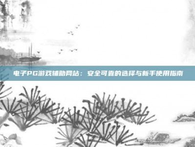 电子PG游戏辅助网站：安全可靠的选择与新手使用指南