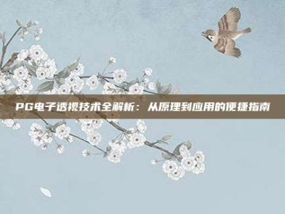 PG电子透视技术全解析：从原理到应用的便捷指南