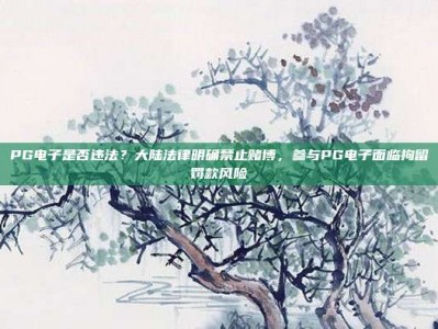 PG电子是否违法？大陆法律明确禁止赌博，参与PG电子面临拘留罚款风险