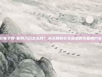 PG电子网-官网入口怎么找？从注册到安全登录的完整用户实录