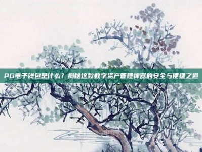 PG电子钱包是什么？揭秘这款数字资产管理神器的安全与便捷之道