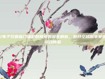 PG电子双喜临门维护时间及原因全解析，避开空档期享受流畅游戏体验