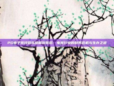 PG电子竞技俱乐部解散背后：电竞行业的财务危机与生存之道