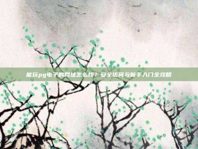 能玩pg电子的网址怎么找？安全访问与新手入门全攻略