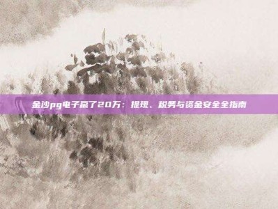 金沙pg电子赢了20万：提现、税务与资金安全全指南