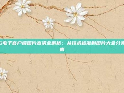 PG电子客户端图片高清全解析：从技术标准到图片大全分类指南