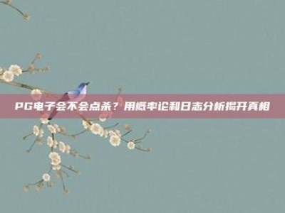 PG电子会不会点杀？用概率论和日志分析揭开真相
