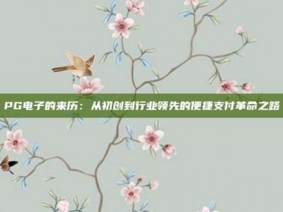 PG电子的来历：从初创到行业领先的便捷支付革命之路
