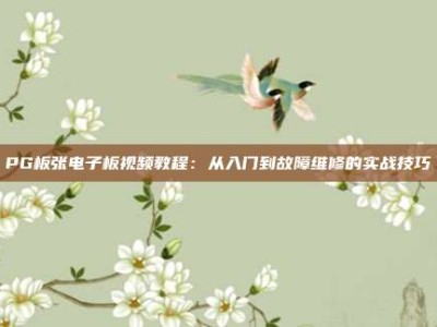 PG板张电子板视频教程：从入门到故障维修的实战技巧