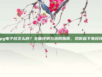 pg电子鼓怎么样？全面评测与选购指南，帮你省下冤枉钱