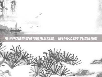 电子PG插件安装与使用全攻略：提升办公效率的终极指南