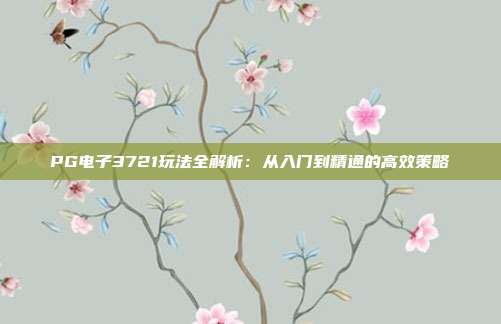 PG电子3721玩法全解析：从入门到精通的高效策略