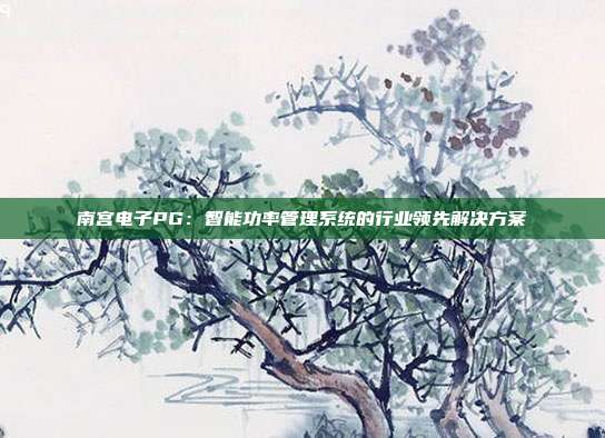 南宫电子PG：智能功率管理系统的行业领先解决方案