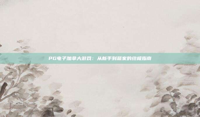 PG电子加拿大游戏：从新手到赢家的终极指南