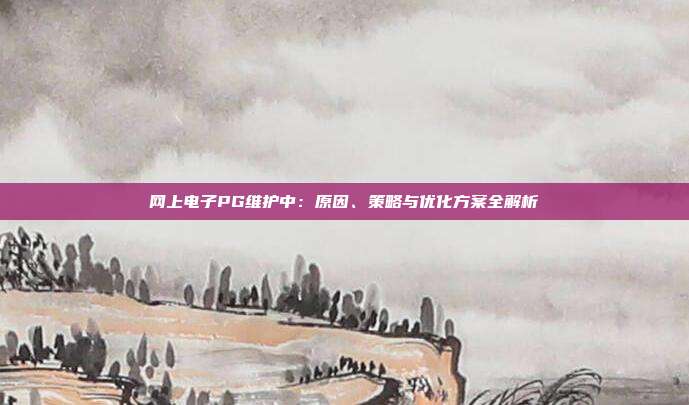 网上电子PG维护中：原因、策略与优化方案全解析