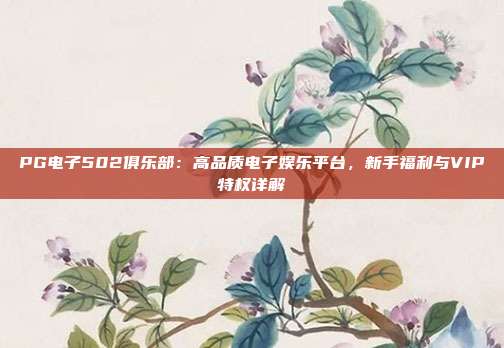 PG电子502俱乐部：高品质电子娱乐平台，新手福利与VIP特权详解