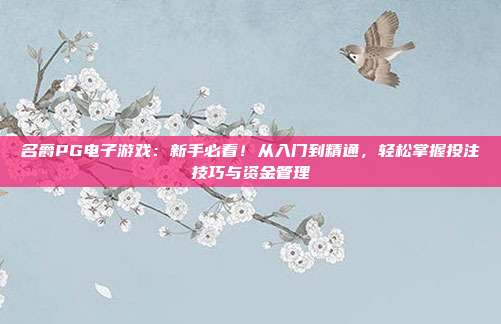 名爵PG电子游戏：新手必看！从入门到精通，轻松掌握投注技巧与资金管理