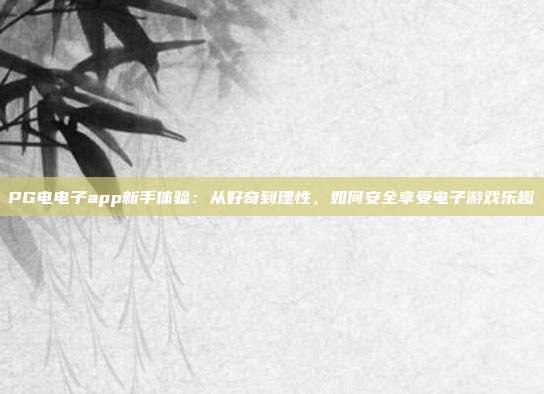 PG电电子app新手体验:从好奇到理性,如何安全享受电子游戏乐趣