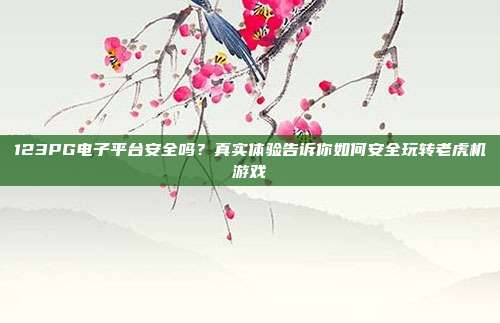 123PG电子平台安全吗?真实体验告诉你如何安全玩转老虎机游戏