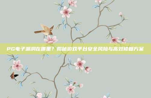 PG电子漏洞在哪里?揭秘游戏平台安全风险与高效修复方案